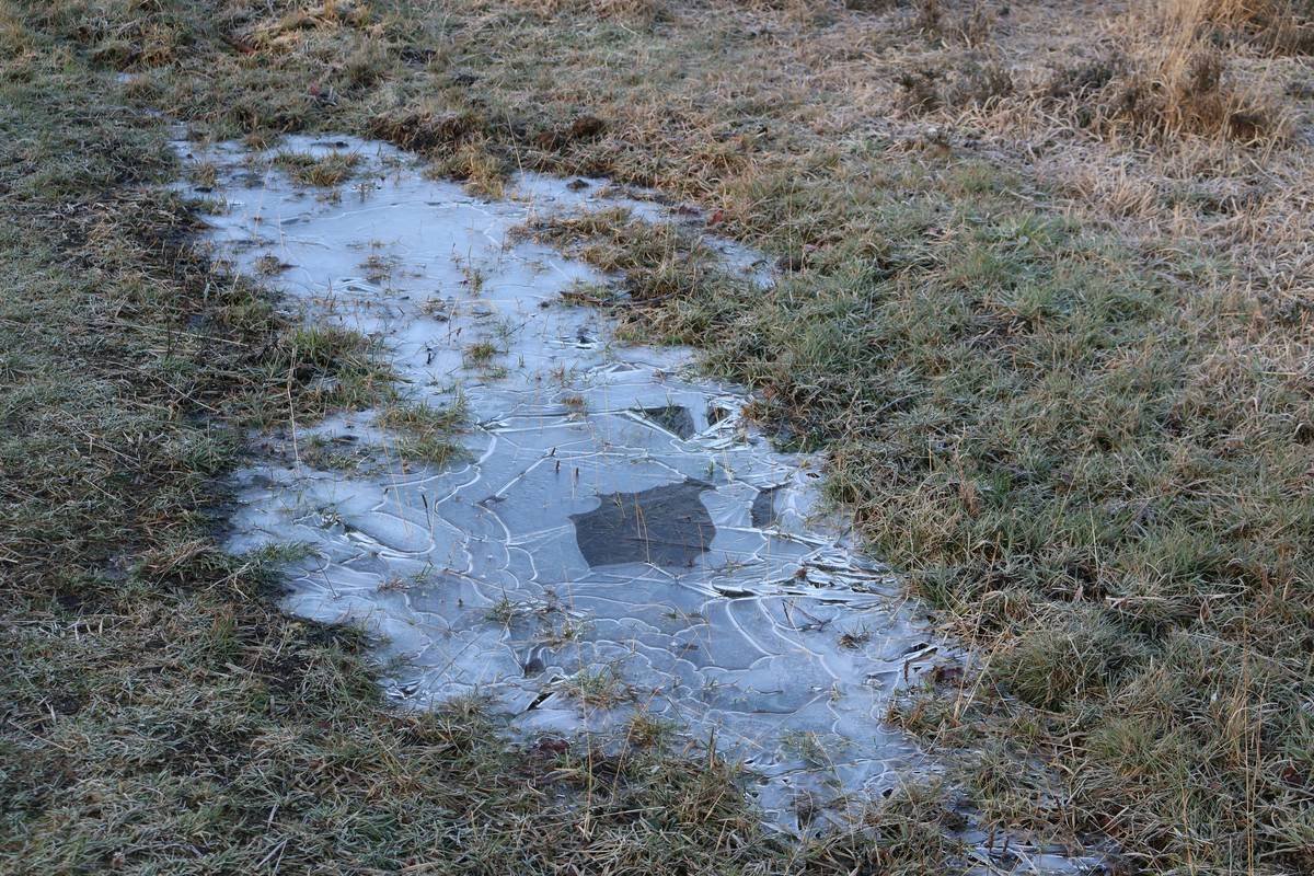 Why Your Cold Weather Padel Game Sucks (And How to Fix It With the Right Padel Ball)